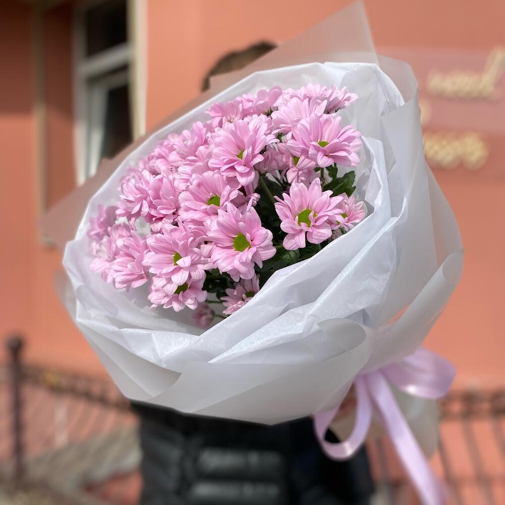 51 розовая ромашка