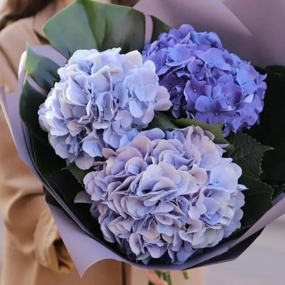 Букет из 3 голубых гортензий